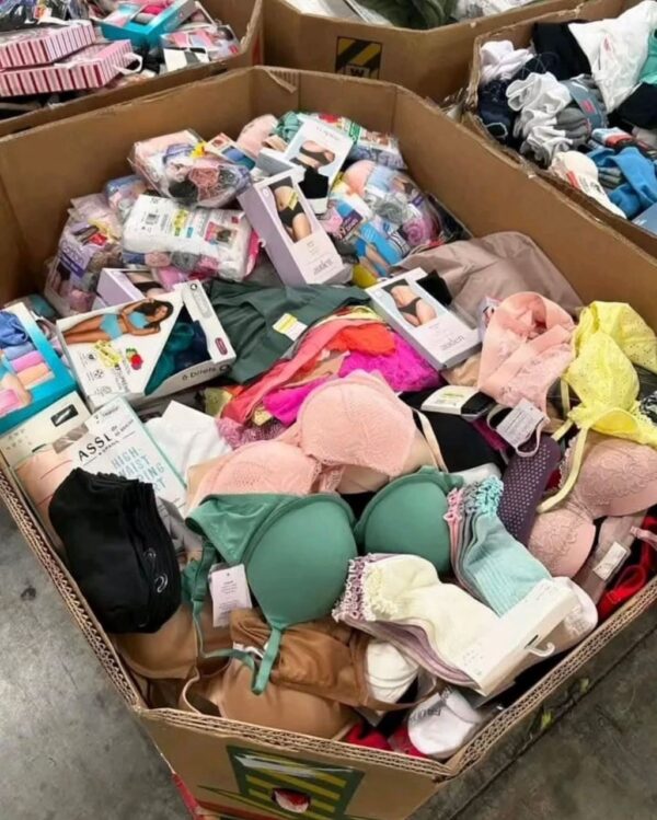 Mixed Underwaer Liquidation Pallets - Image 2